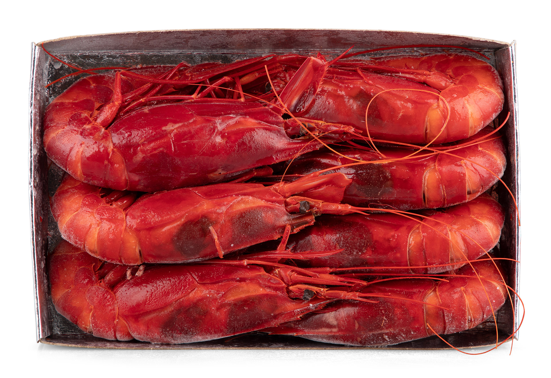 Carabineiro 6/7 Congelado Marrocos Cx IQF