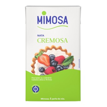 Nata UHT Mimosa 6x1 l