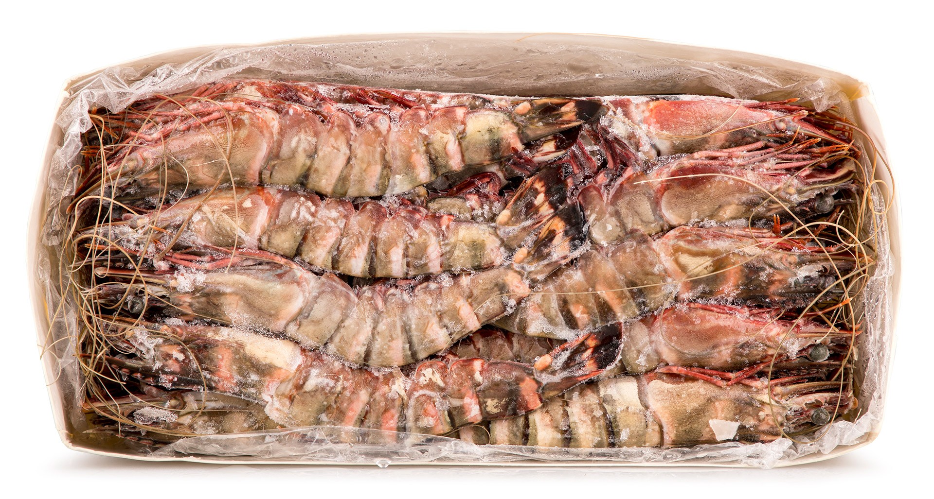 Camar�o Tigre Casca Mole N�1 Congelado Cx 2 kg