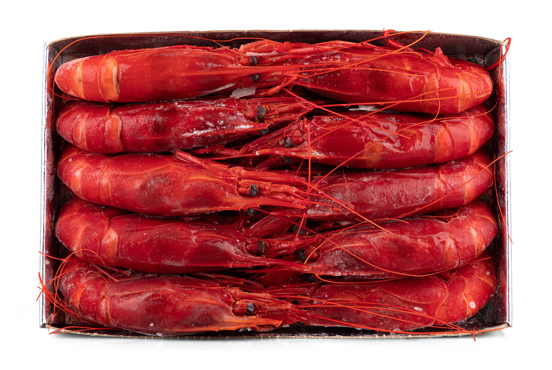 Carabineiro 10/12 Congelado Marrocos Cx IQF