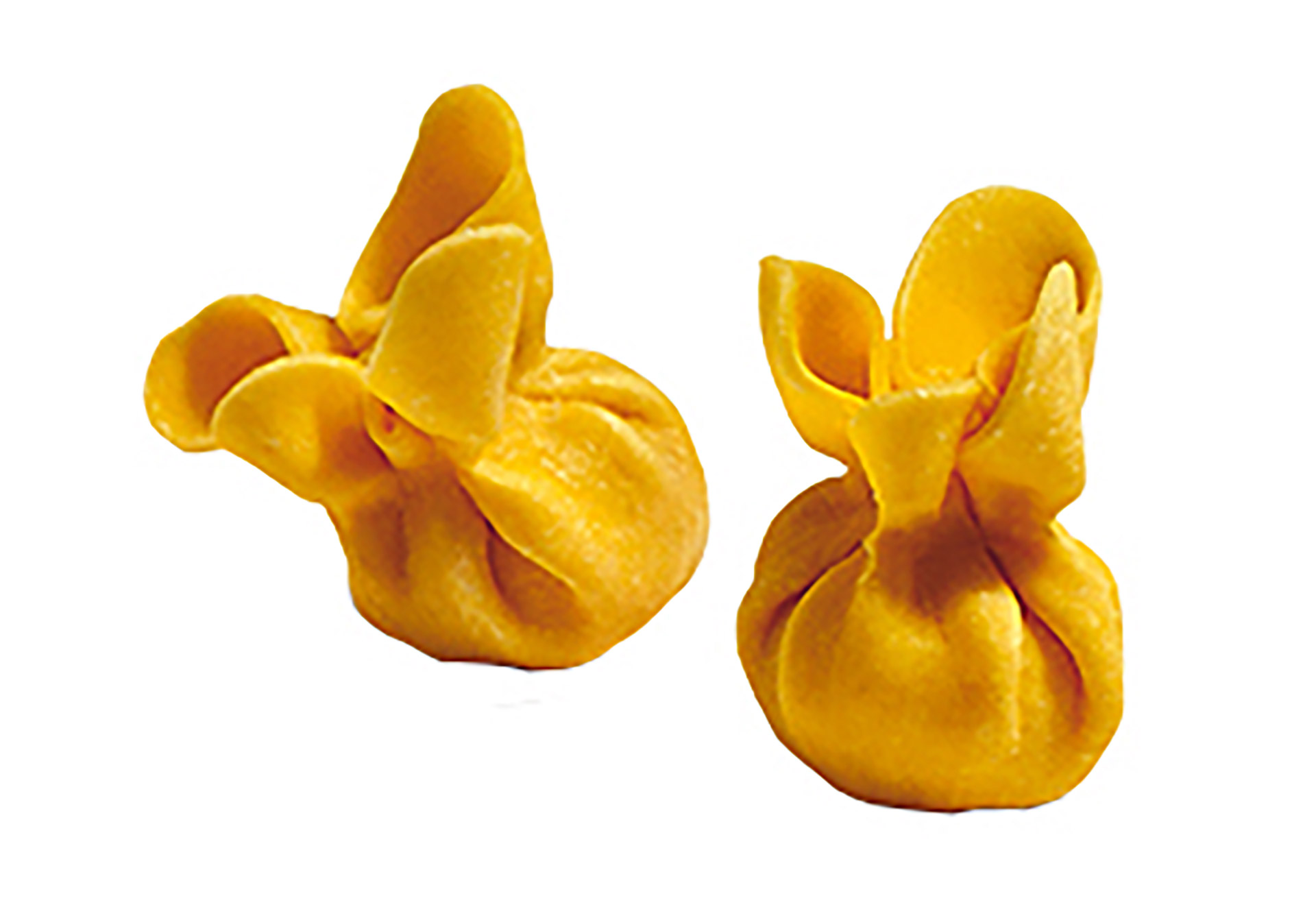 Massa Recheada Fiocchi Queijo Gorgonzola Congelada Lab Cx 3 kg Massa Recheada Fiocchi Queijo Gorgonzola Congelada Lab Cx 3 kg