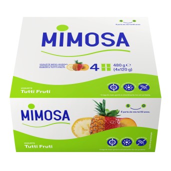 Iogurte Aroma Tutti Fruti Mimosa 24x120 g