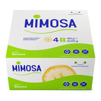 Iogurte Aroma Banana Mimosa 24x120 g