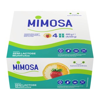 Iogurte Aroma Multifrutos s/ Lactose Mimosa 24x120 g