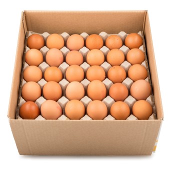 Ovo Pastelaria M Uli Cx 15 Dzias