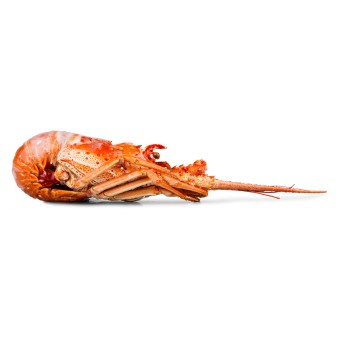 Lagosta Cozida 740/860 g Congelada Cuba Cx 10 kg