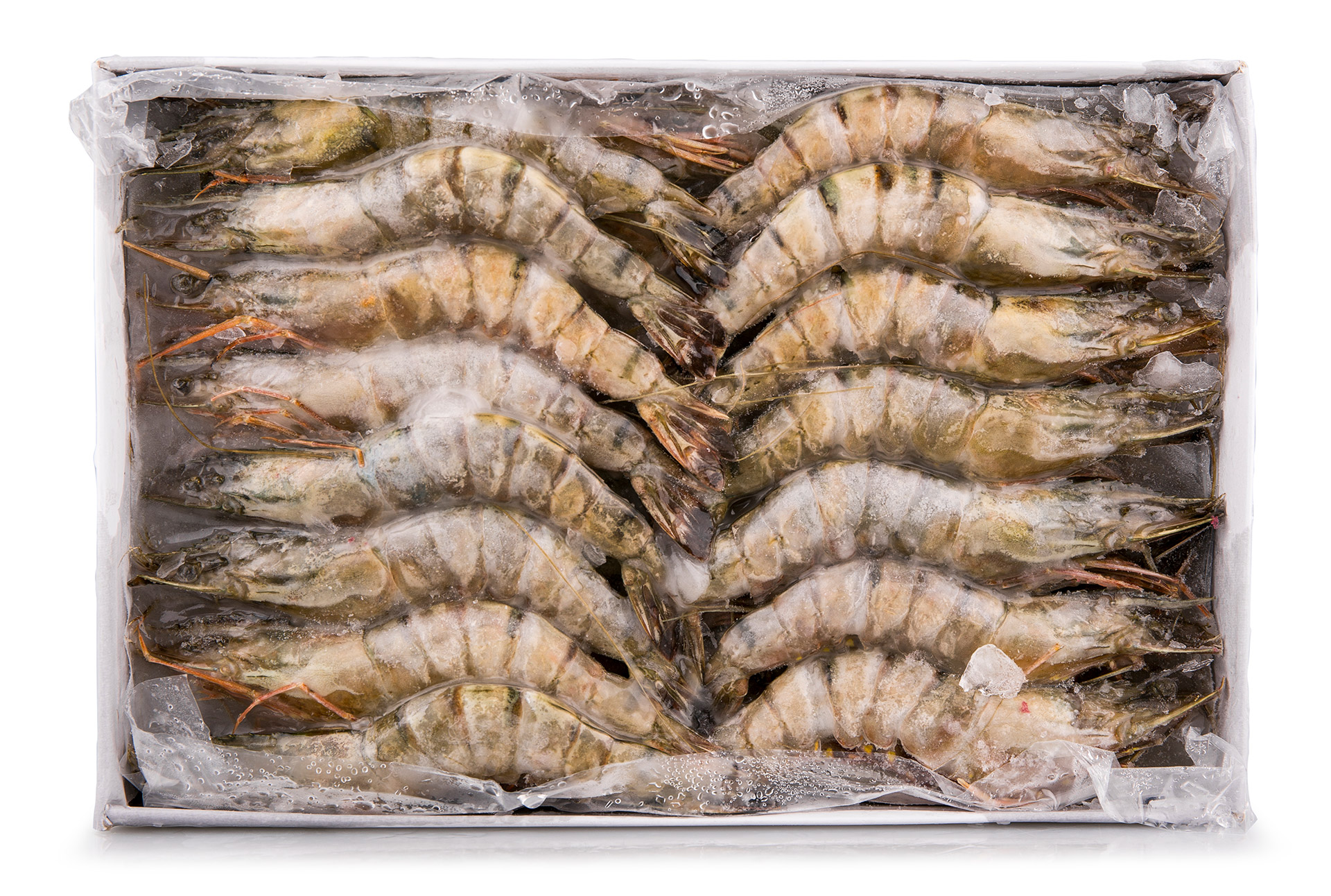 Camar�o Black Tiger 21/30 Congelado Cx 750 g