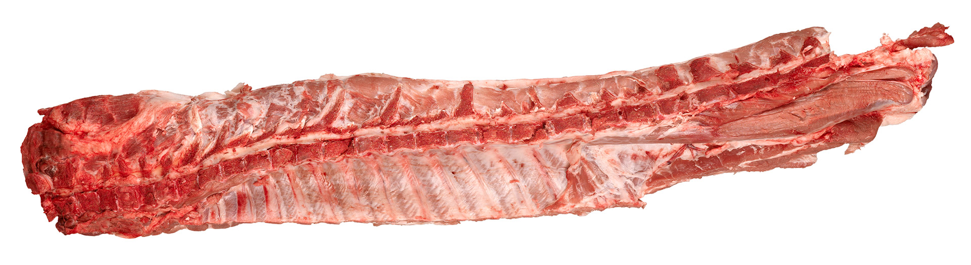 Porco Vão c/ Cachaço Fresco Porco Vão c/ Cachaço Fresco