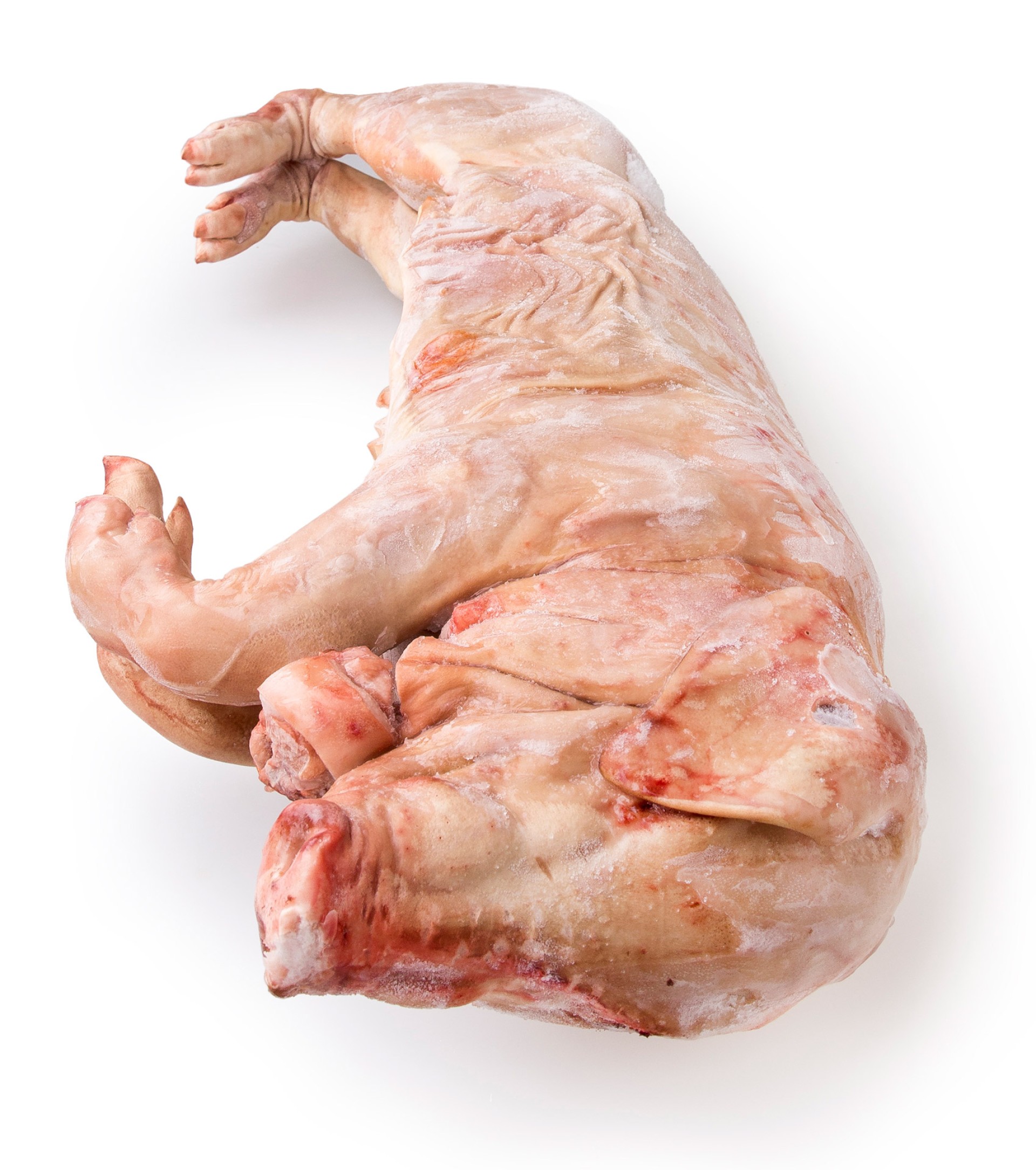 Leit�o Corte Portugu�s 10/13 kg Congelado