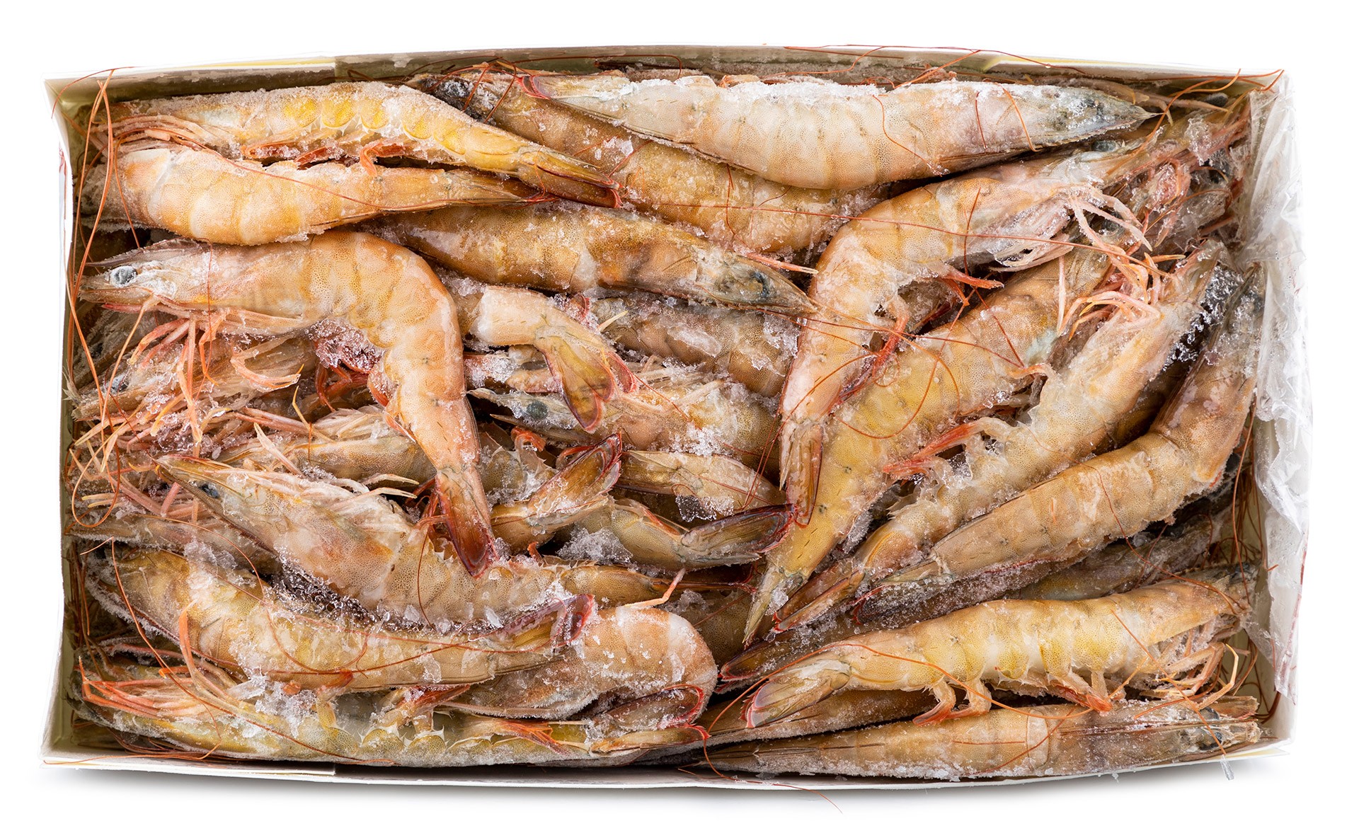 Camarão White 40/60 Congelado Senegal 2 kg Camarão White 40/60 Congelado Senegal 2 kg