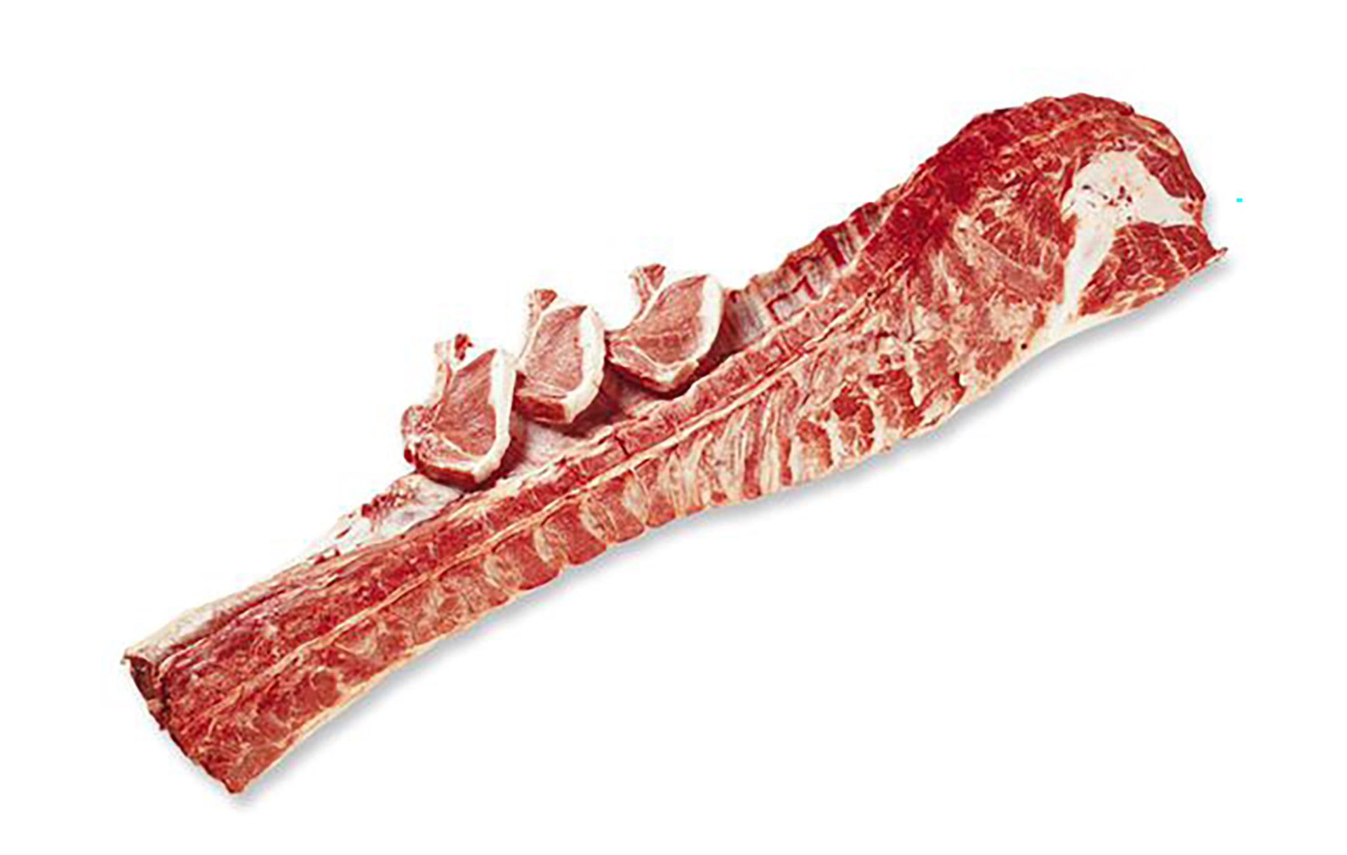 Porco V�o c/ Cacha�o Ib�rico Fresco Uli Avulso