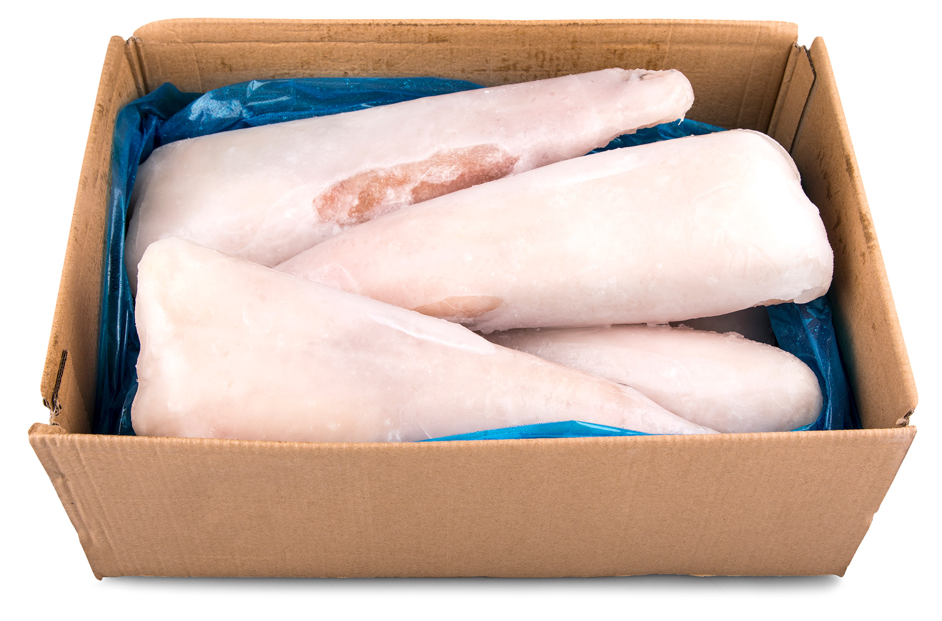 Tamboril s/ Pele 500/700 g Congelado China Cx 6 kg Tamboril s/ Pele 500/700 g Congelado China Cx 6 kg