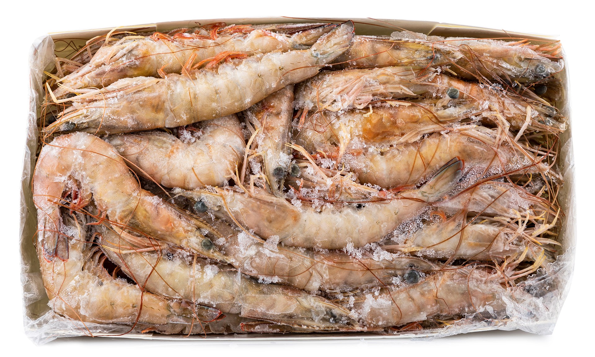 Camarão White 20/30 Congelado Senegal Cx 2 kg Camarão White 20/30 Congelado Senegal Cx 2 kg