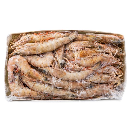 Camarão White 20/30 Congelado Senegal Cx 2 kg Camarão White 20/30 Congelado Senegal Cx 2 kg