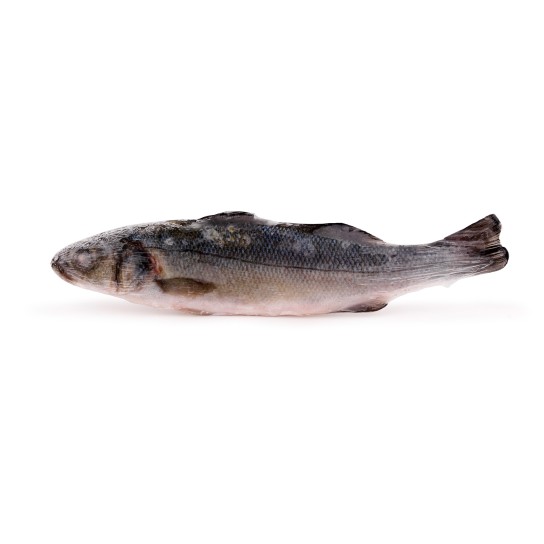 Robalo Inteiro 200/300 Congelado Uli Cx 5 kg
