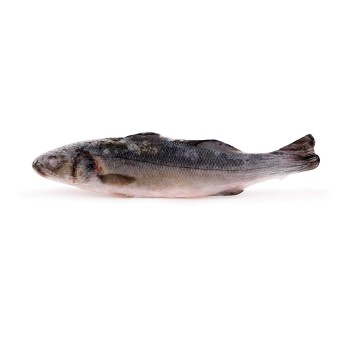 Robalo Inteiro 200/300 Congelado Uli Cx 5 kg