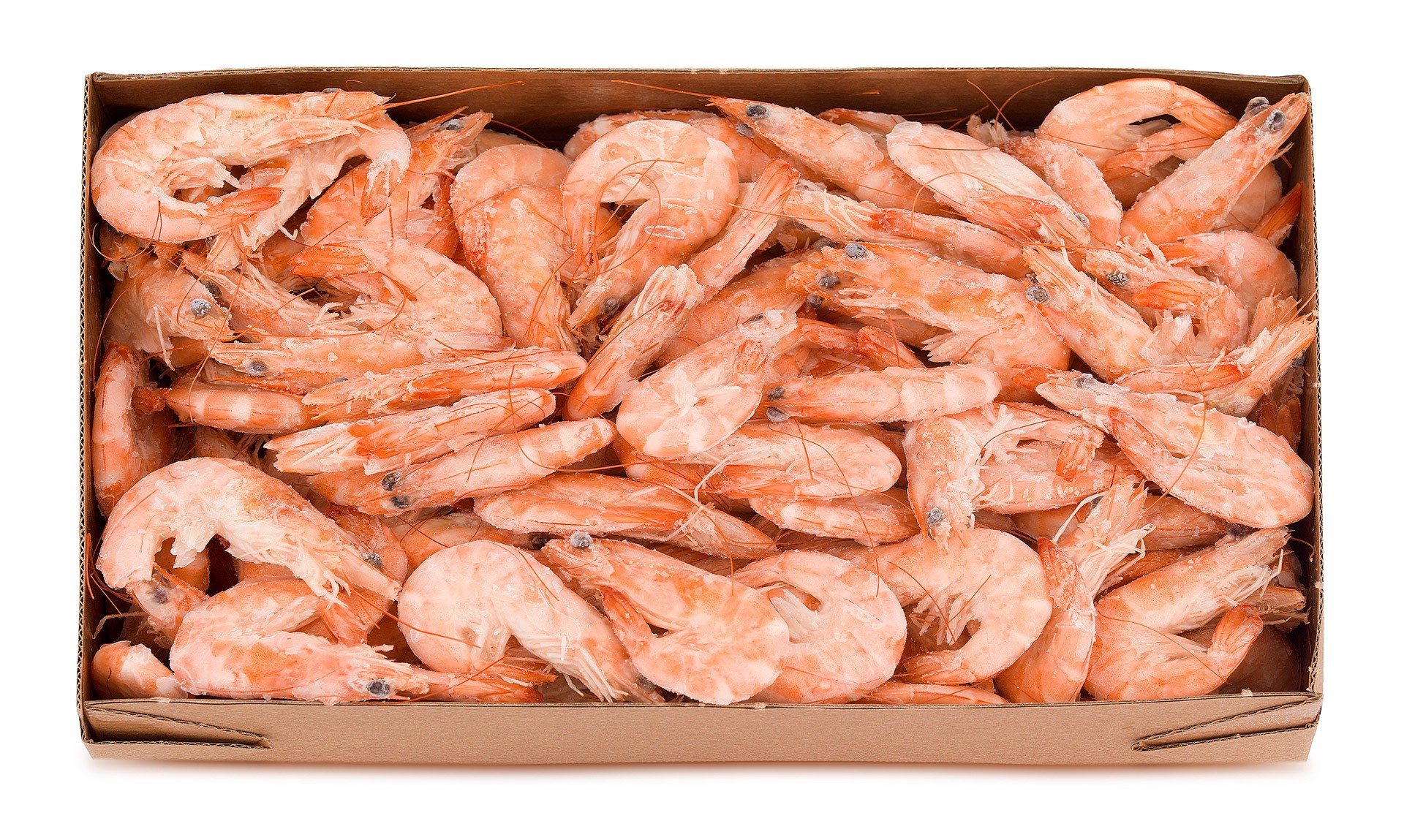 Camarão Vannamei Cozido 60/80 Congelado Cx 1,6 kg Camarão Vannamei Cozido 60/80 Congelado Cx 1,6 kg