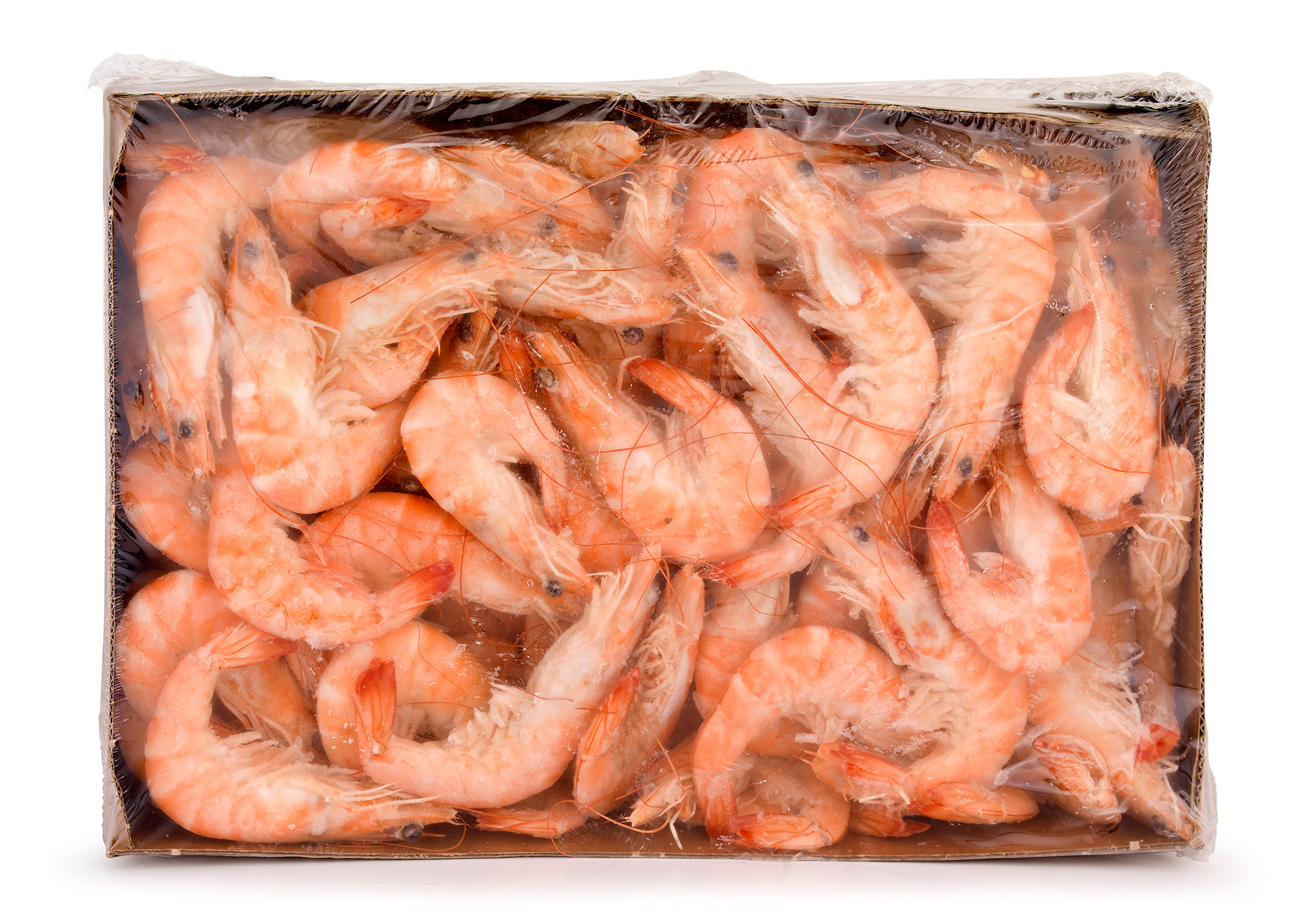 Camarão Vannamei Cozido 40/60 Congelado Cx 1,6 kg Camarão Vannamei Cozido 40/60 Congelado Cx 1,6 kg