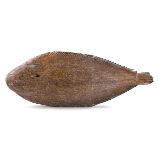 Linguado 350/400 g Congelado Legtimo Cx 5 kg