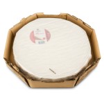 Queijo Brie Neutro 25% +/- 3 kg