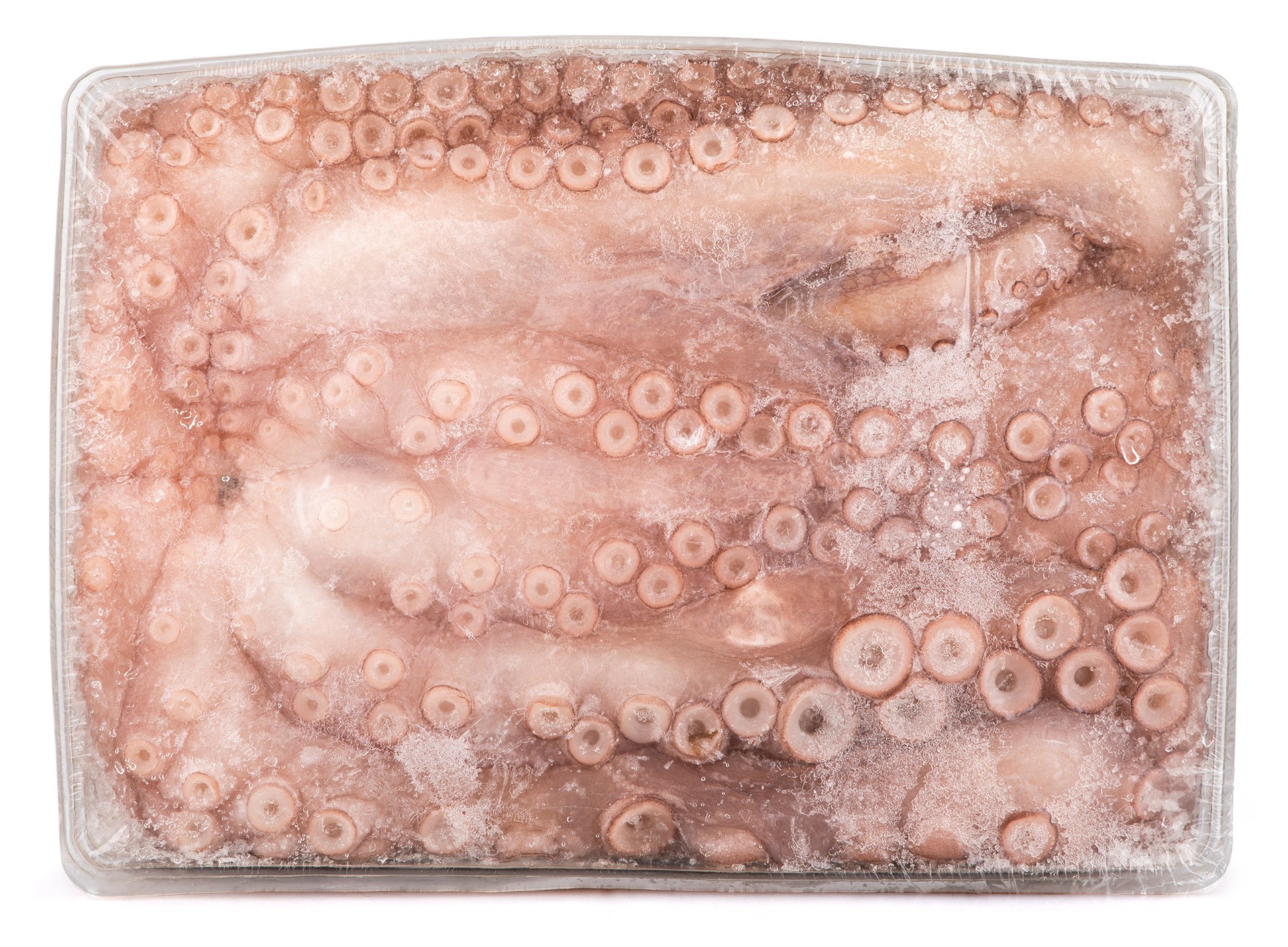 Polvo Andaluzia 4000/5000 Congelado Bandeja