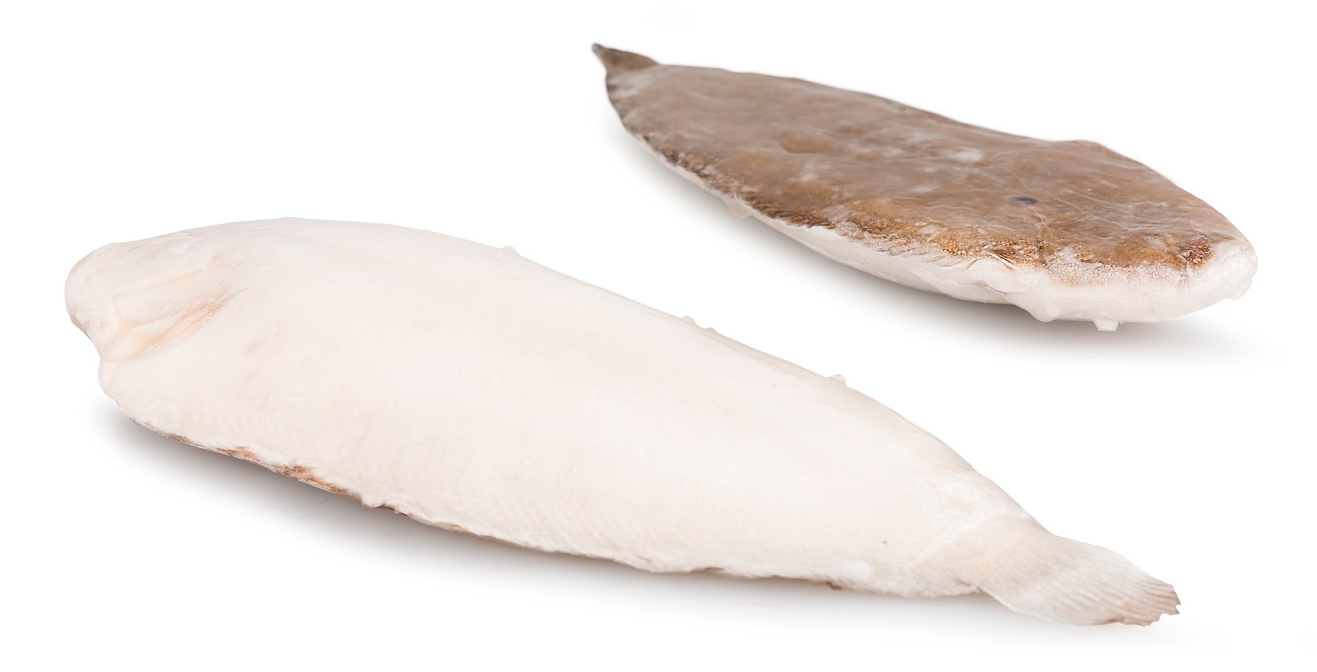 Linguado 300/350 g Congelado Legítimo Cx 5 kg Linguado 300/350 g Congelado Legítimo Cx 5 kg