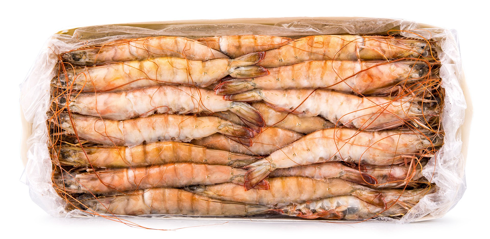 Camarão White 30/40 Congelado Nigéria Cx 2 kg Camarão White 30/40 Congelado Nigéria Cx 2 kg