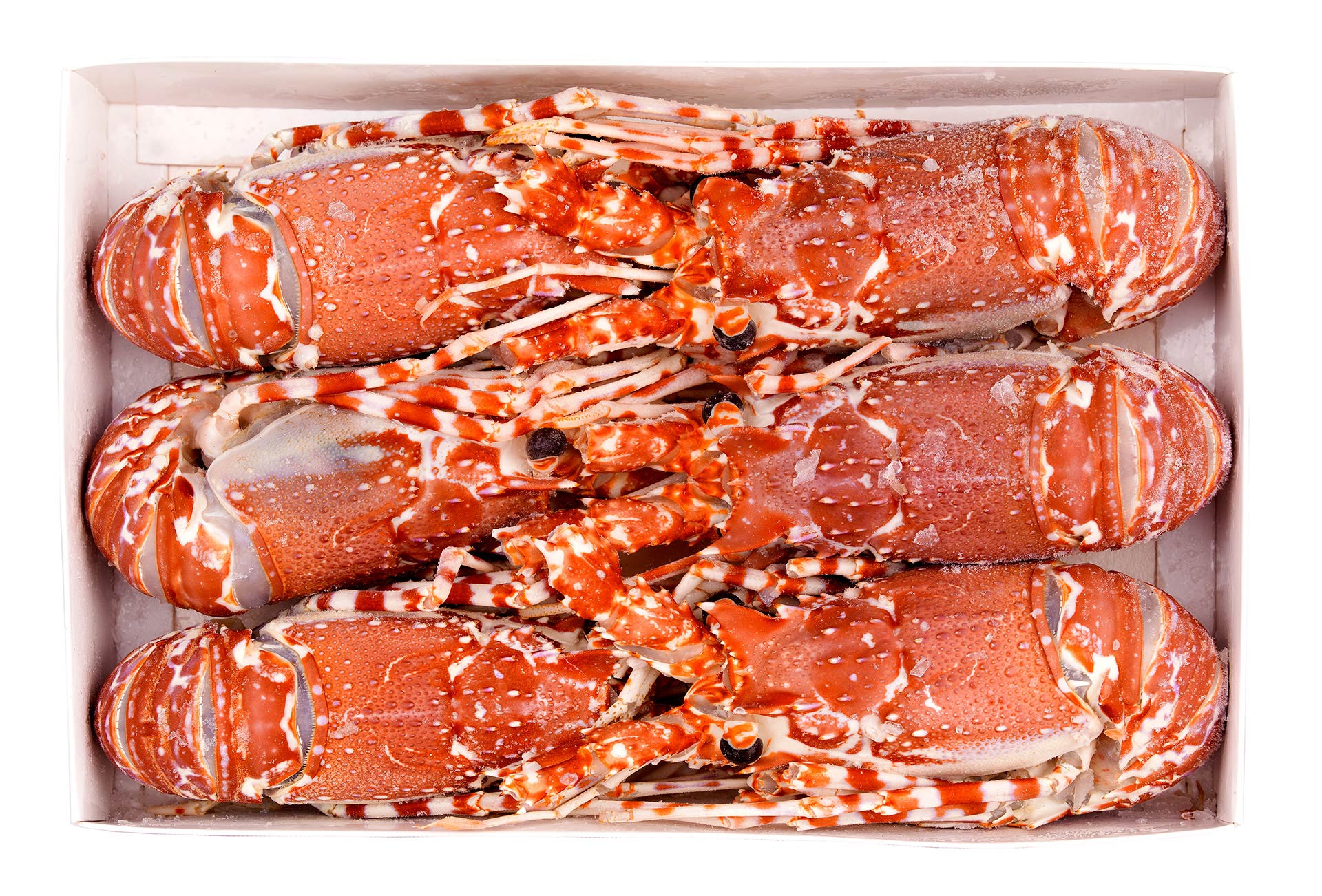 Lagosta Crua 150/300 Congelada Moçambique Cx 1,5 kg Lagosta Crua 150/300 Congelada Moçambique Cx 1,5 kg