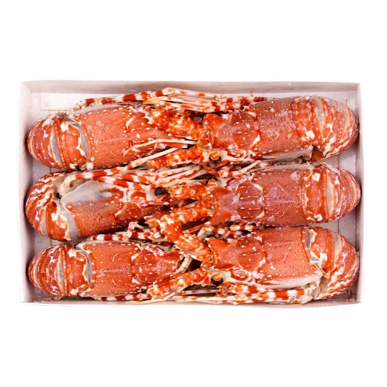 Lagosta Crua 150/300 Congelada Moçambique Cx 1,5 kg Lagosta Crua 150/300 Congelada Moçambique Cx 1,5 kg