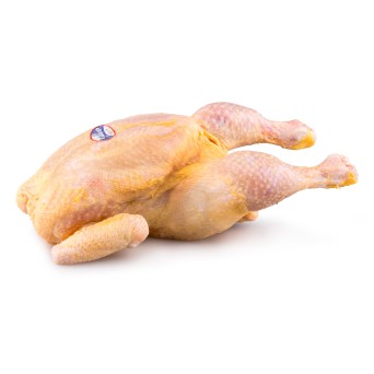 Frango Inteiro 800/900 g Fresco Avicasal
