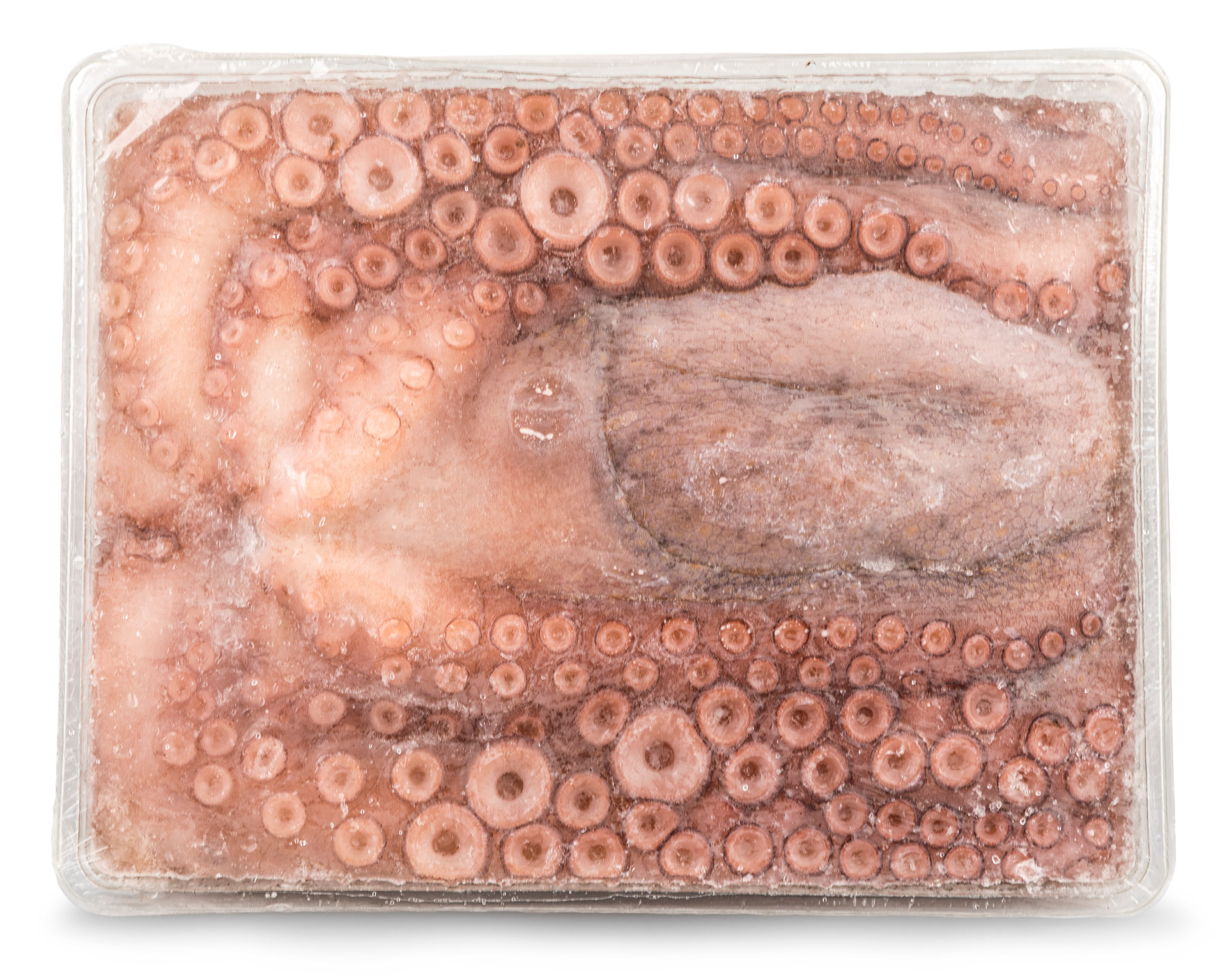 Polvo Andaluzia 2000/3000 Congelado Bandeja Polvo Andaluzia 2000/3000 Congelado Bandeja