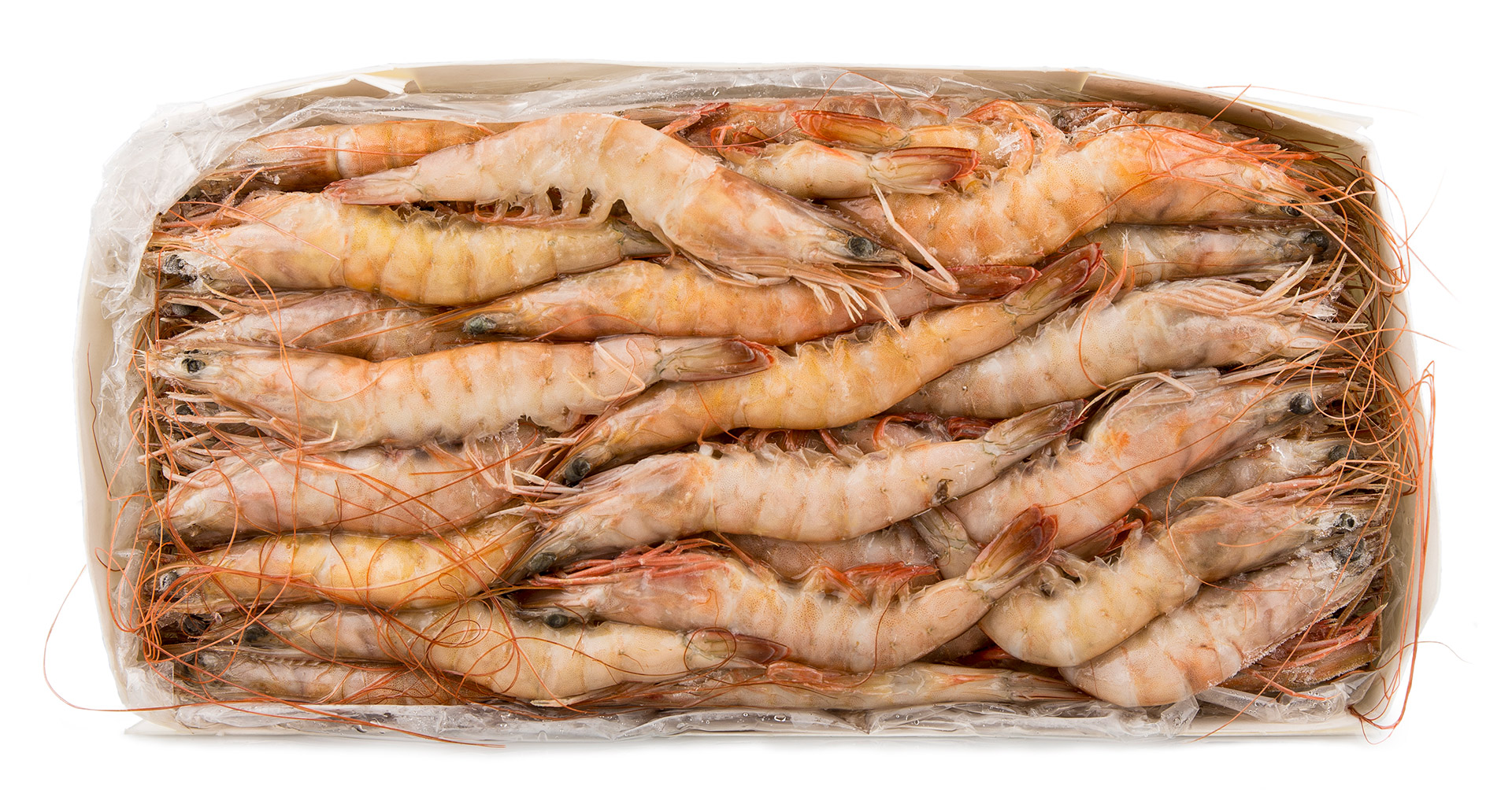 Camarão White 40/60 Congelado Nigéria Cx 2 kg Camarão White 40/60 Congelado Nigéria Cx 2 kg