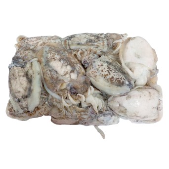 Choco Inteiro 200/300 g Congelado Cx 7 kg