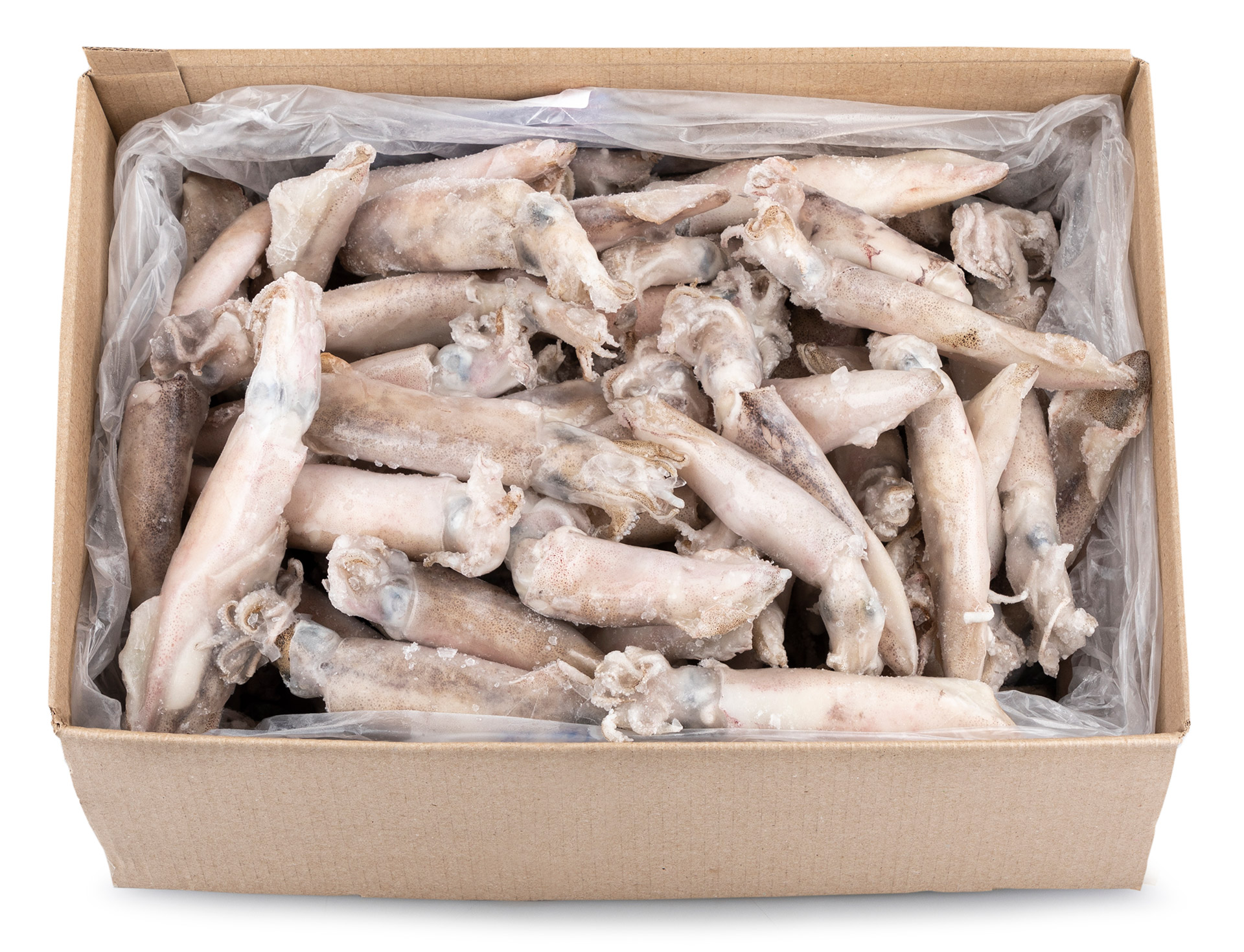 Lula C/5 Congelada Uli Cx 5 kg Lula C/5 Congelada Uli Cx 5 kg