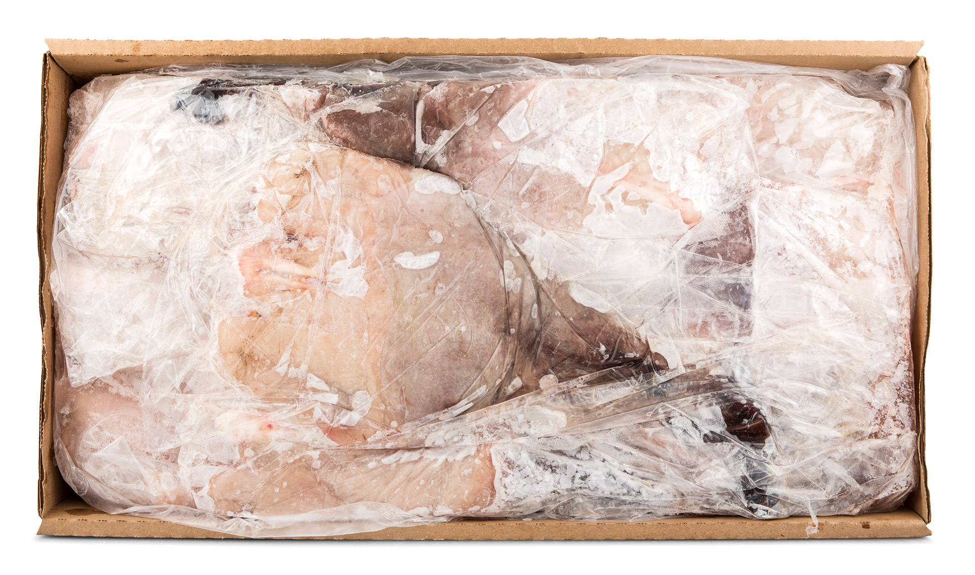 Tamboril c/ Pele 2/4Lbs Congelado USA Cx 10 kg