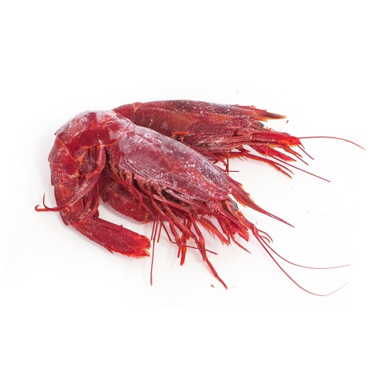 Carabineiro 12/14 Congelado Marrocos Cx IQF