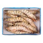 Camarao B.Tiger Cong. 8/12 Cx 750 Gr Camarao B.Tiger Cong. 8/12 Cx 750 Gr