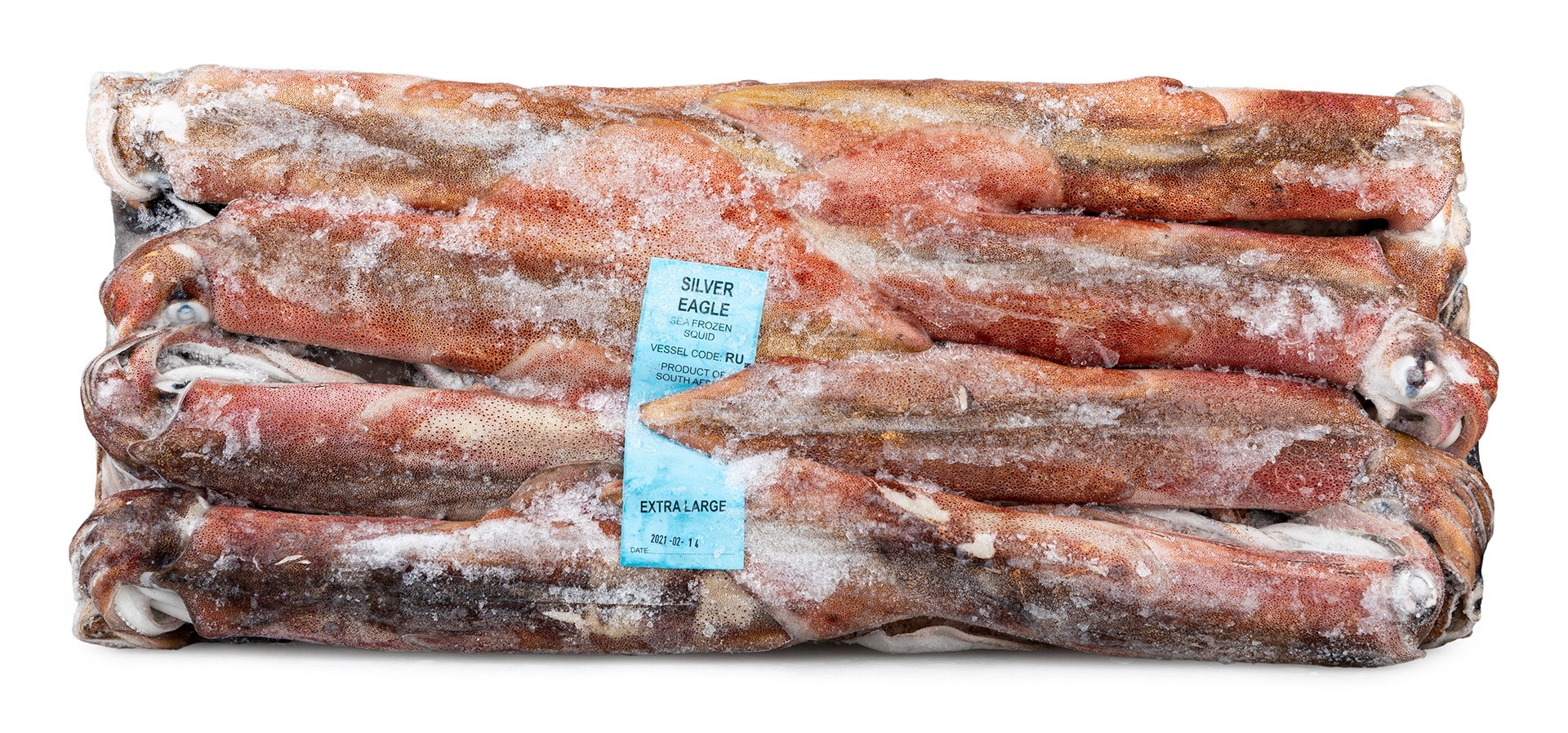 Lula Bordo XL 30/+ cm Congelada �frica do Sul Bloco