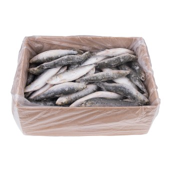 Sardinha Consumo Congelada Uli Cx 6 kg
