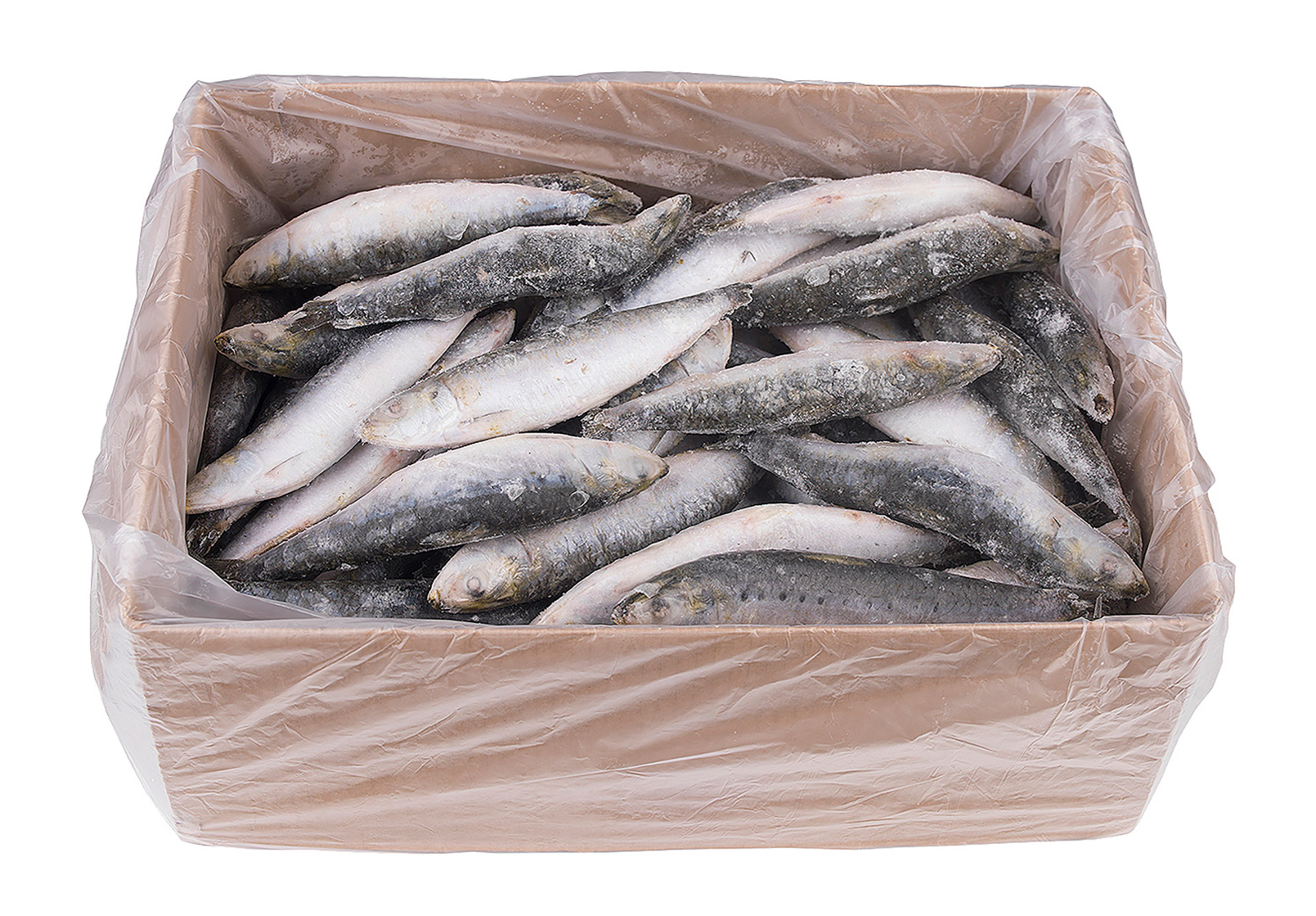 Sardinha Consumo Congelada Uli Cx 6 kg