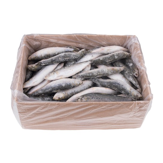 Sardinha Consumo Congelada Uli Cx 6 kg