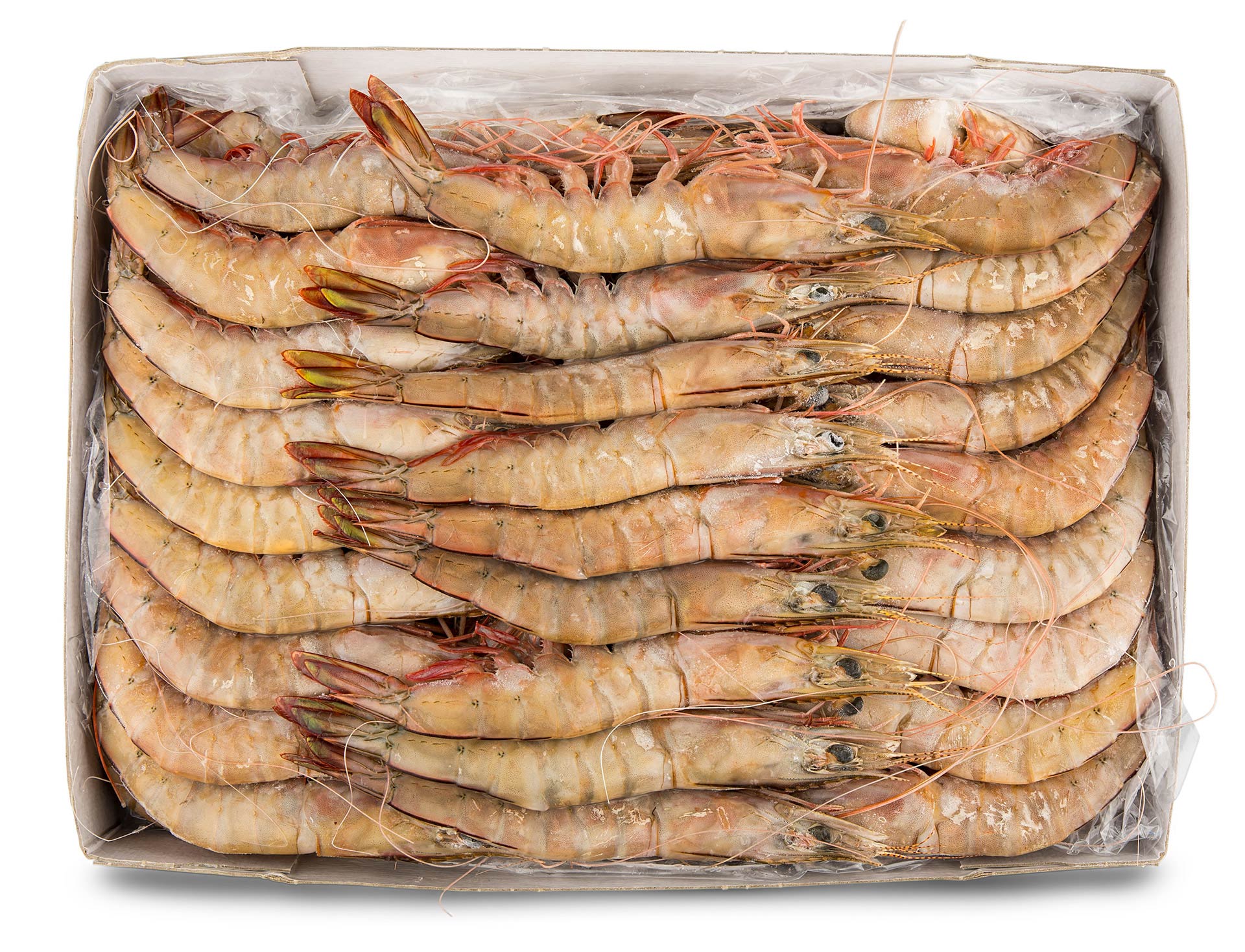 Camar�o 30/40 Congelado Mo�ambique Cx 2 kg