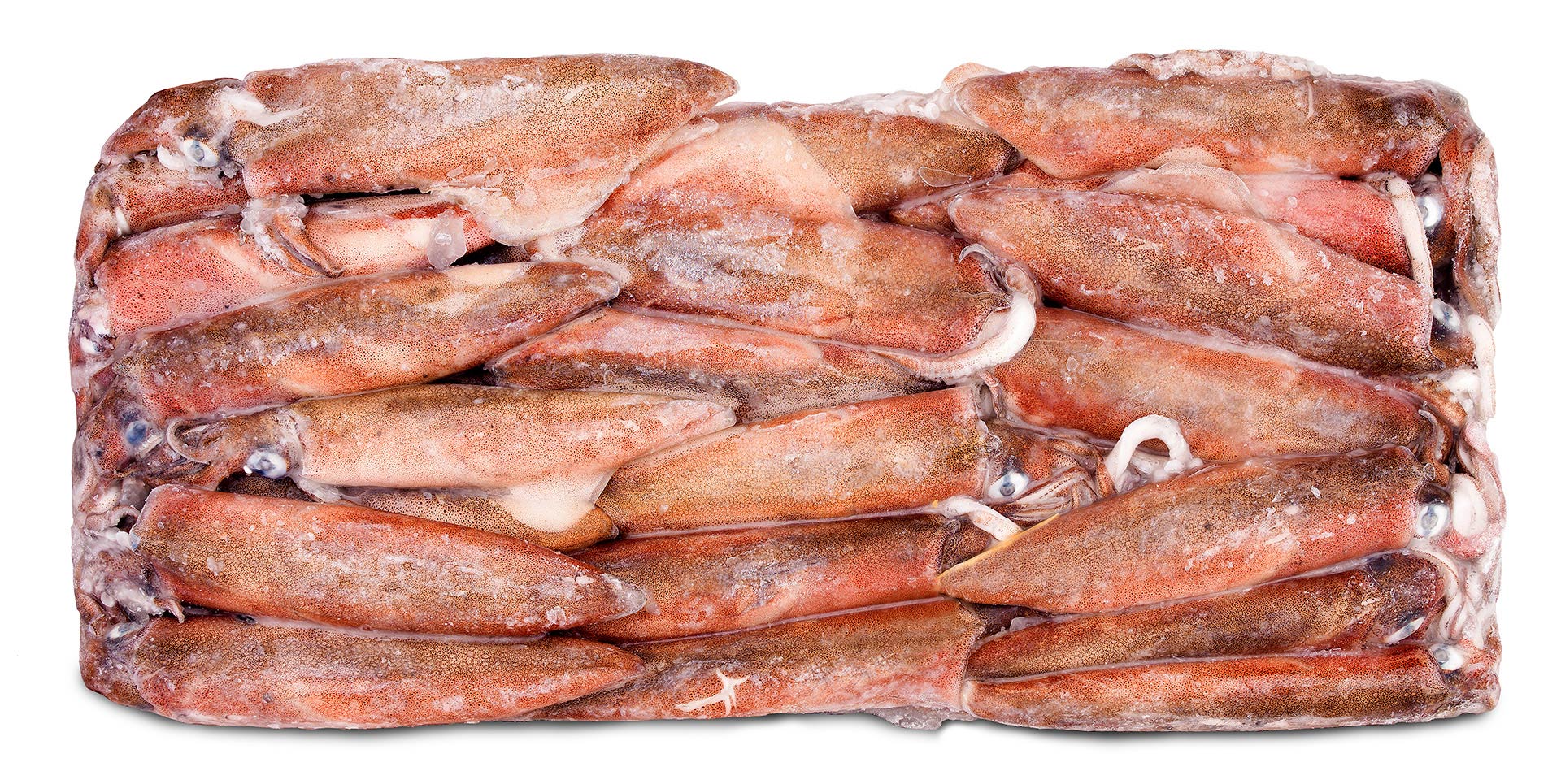 Lula Bordo M 20/25 cm Congelada �frica do Sul Bloco