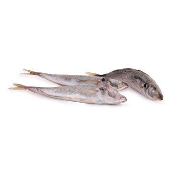 Carapau Branco 4/6 Congelado Uli Cx 6 kg