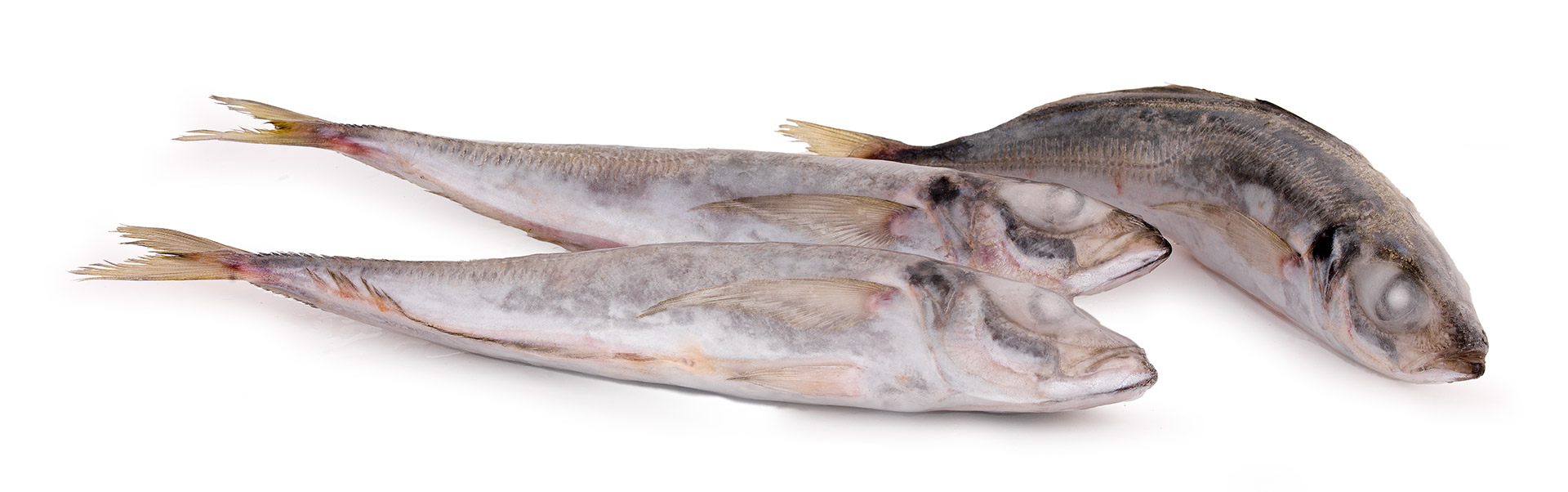 Carapau Branco 4/6 Congelado Uli Cx 6 kg