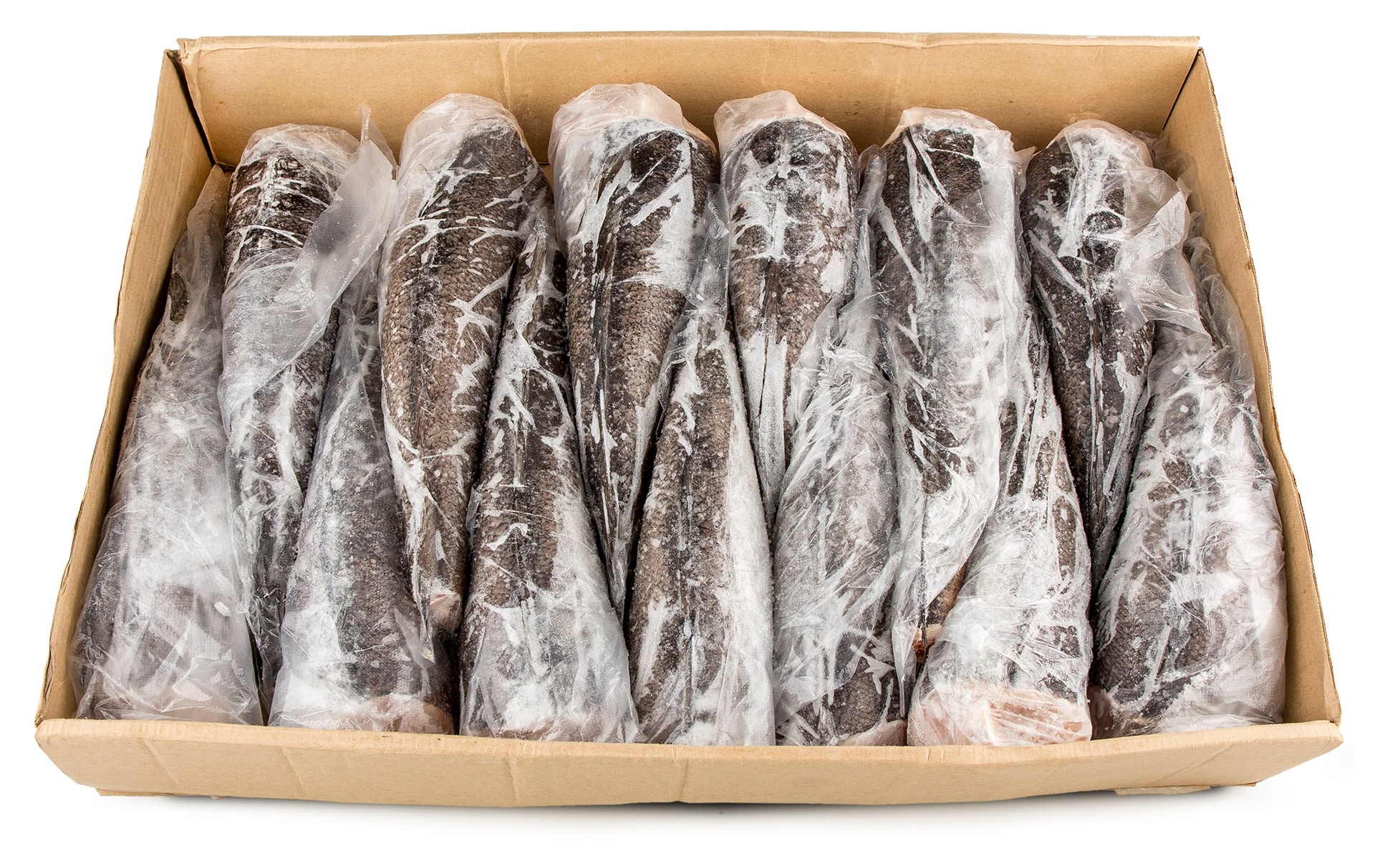 Pescada Inteira N�4 800/1200 g Congelada �frica do Sul IQF