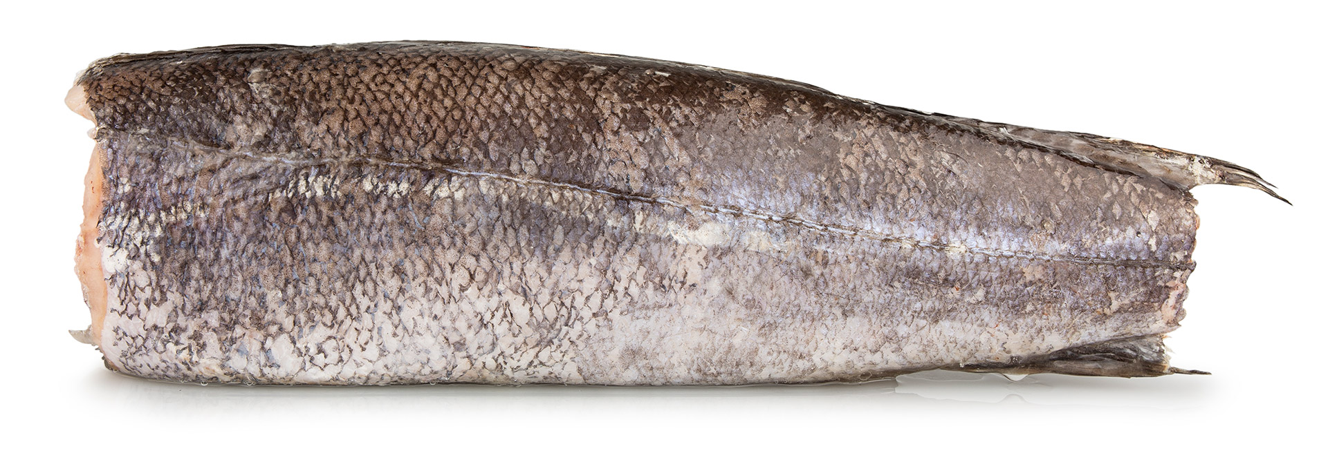 Pescada Inteira Nº 5/+ 1800 g/+ Congelada África do Sul IQF Pescada Inteira Nº 5/+ 1800 g/+ Congelada África do Sul IQF