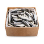 Sardinha Consumo Congelada Cx 10 kg