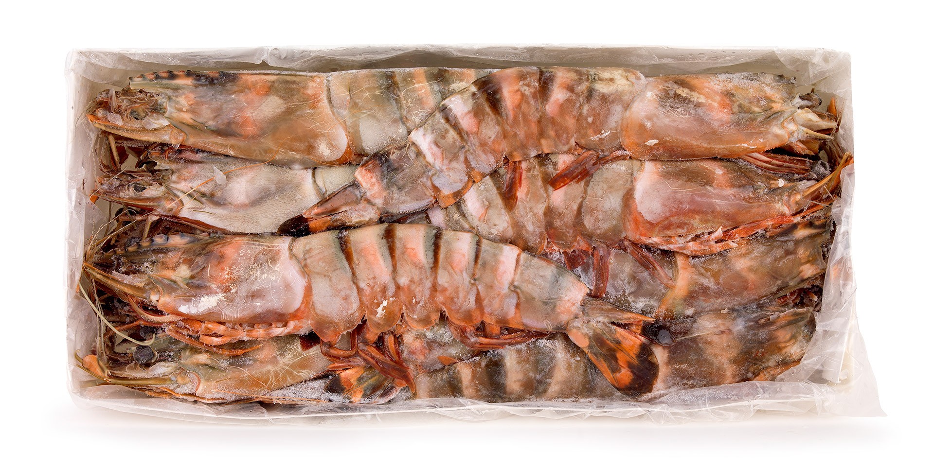 Camar�o Tigre Casca Mole N�0 Congelado Cx 2 kg