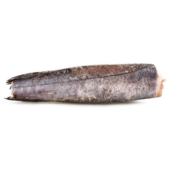 Pescada Inteira Bordo N4 Congelada Chile IQF